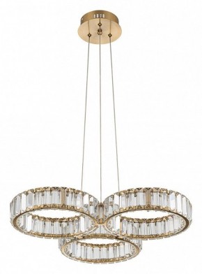 Подвесная люстра Indigo Favo V000073L в Можге - mozhga.mebel24.online | фото 2