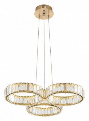 Подвесная люстра Indigo Favo V000073L в Можге - mozhga.mebel24.online | фото 3