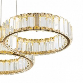 Подвесная люстра Indigo Favo V000073L в Можге - mozhga.mebel24.online | фото 4