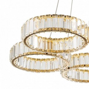Подвесная люстра Indigo Favo V000074L в Можге - mozhga.mebel24.online | фото 4