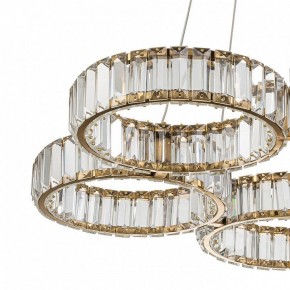 Подвесная люстра Indigo Favo V000074L в Можге - mozhga.mebel24.online | фото 5