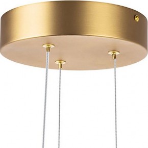 Подвесная люстра Lightstar Bergamo 745247 в Можге - mozhga.mebel24.online | фото 6