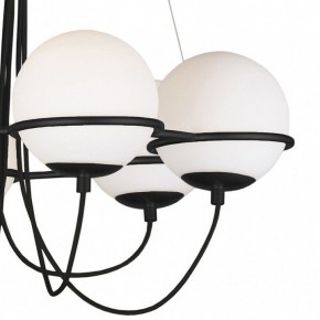 Подвесная люстра Lightstar Globo 803267 в Можге - mozhga.mebel24.online | фото 5