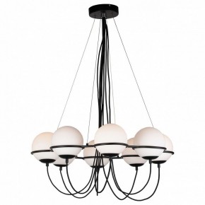 Подвесная люстра Lightstar Globo 803287 в Можге - mozhga.mebel24.online | фото 2