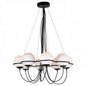 Подвесная люстра Lightstar Globo 803287 в Можге - mozhga.mebel24.online | фото 3