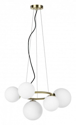 Подвесная люстра Lightstar Globo 815051 в Можге - mozhga.mebel24.online | фото 2
