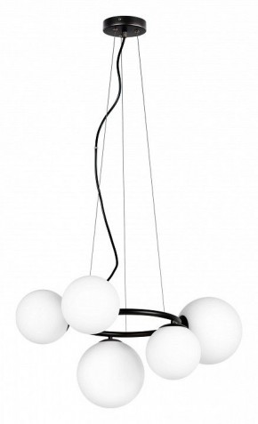 Подвесная люстра Lightstar Globo 815057 в Можге - mozhga.mebel24.online | фото 2