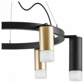 Подвесная люстра Lightstar Rullo LR0164038731 в Можге - mozhga.mebel24.online | фото 5