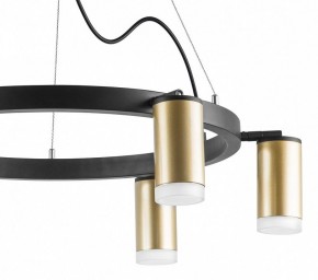 Подвесная люстра Lightstar Rullo LR0164060 в Можге - mozhga.mebel24.online | фото 5