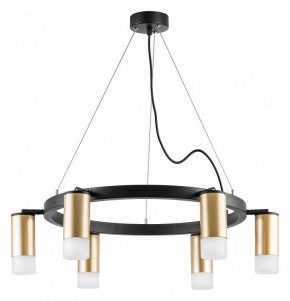 Подвесная люстра Lightstar Rullo LR0164061 в Можге - mozhga.mebel24.online | фото 3