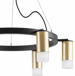 Подвесная люстра Lightstar Rullo LR0164061 в Можге - mozhga.mebel24.online | фото 4