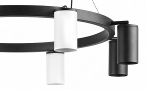 Подвесная люстра Lightstar Rullo LR018364374 в Можге - mozhga.mebel24.online | фото 5