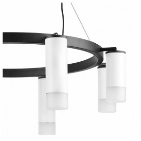 Подвесная люстра Lightstar Rullo LR0188643641 в Можге - mozhga.mebel24.online | фото 5