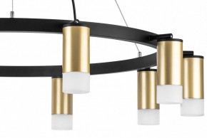 Подвесная люстра Lightstar Rullo LR0204001 в Можге - mozhga.mebel24.online | фото 5