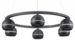 Подвесная люстра Lumion Luazana 8242/6 в Можге - mozhga.mebel24.online | фото
