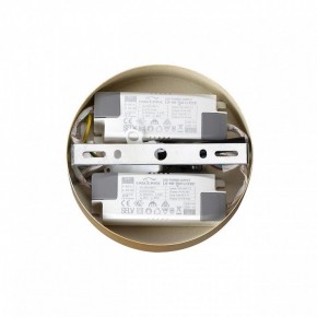 Подвесная люстра Lumion Parker 6564/60L в Можге - mozhga.mebel24.online | фото 6