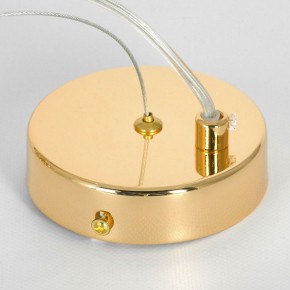 Подвесная люстра Lussole Davie LSP-8778 в Можге - mozhga.mebel24.online | фото 5