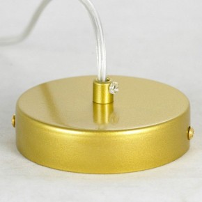 Подвесная люстра Lussole Downey LSP-8804 в Можге - mozhga.mebel24.online | фото 6
