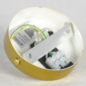 Подвесная люстра Lussole Downey LSP-8804 в Можге - mozhga.mebel24.online | фото 7