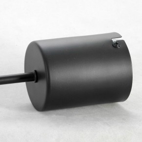 Подвесная люстра Lussole Duncan GRLSP-8252 в Можге - mozhga.mebel24.online | фото 4
