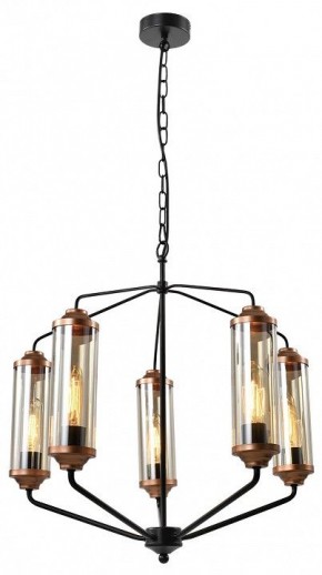 Подвесная люстра Lussole Fishers LSP-8800 в Можге - mozhga.mebel24.online | фото 2