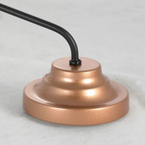 Подвесная люстра Lussole Fishers LSP-8800 в Можге - mozhga.mebel24.online | фото 5
