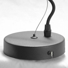Подвесная люстра Lussole Huron GRLSP-8156 в Можге - mozhga.mebel24.online | фото 6