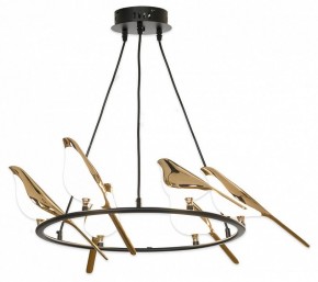 Подвесная люстра Lussole Jasper LSP-8641 в Можге - mozhga.mebel24.online | фото 2