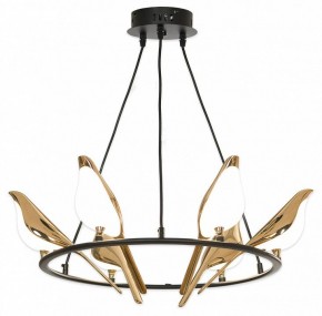 Подвесная люстра Lussole Jasper LSP-8641 в Можге - mozhga.mebel24.online | фото 4
