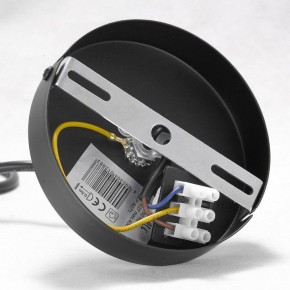 Подвесная люстра Lussole Kenner GRLSP-8271 в Можге - mozhga.mebel24.online | фото 7