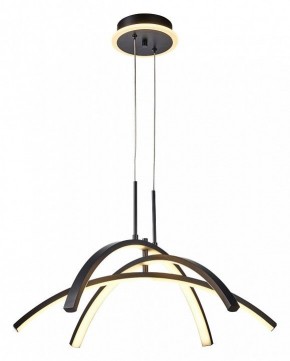 Подвесная люстра Lussole LSP-719 LSP-7195 в Можге - mozhga.mebel24.online | фото 2