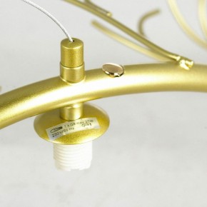 Подвесная люстра Lussole LSP-874 LSP-8749 в Можге - mozhga.mebel24.online | фото 6