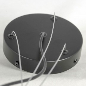 Подвесная люстра Lussole LSP-875 LSP-8750 в Можге - mozhga.mebel24.online | фото 5