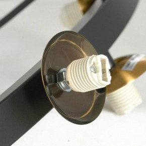 Подвесная люстра Lussole LSP-875 LSP-8750 в Можге - mozhga.mebel24.online | фото 6