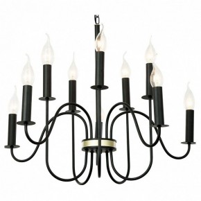 Подвесная люстра Lussole Roosevelt GRLSP-8198 в Можге - mozhga.mebel24.online | фото