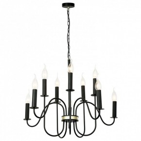 Подвесная люстра Lussole Roosevelt GRLSP-8198 в Можге - mozhga.mebel24.online | фото 2