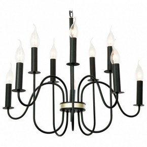 Подвесная люстра Lussole Roosevelt LSP-8198 в Можге - mozhga.mebel24.online | фото