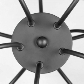 Подвесная люстра Lussole Roosevelt LSP-8198 в Можге - mozhga.mebel24.online | фото 4