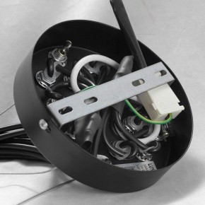 Подвесная люстра Lussole Seneca GRLSP-8177 в Можге - mozhga.mebel24.online | фото 10