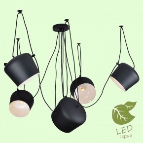 Подвесная люстра Lussole Shirley GRLSP-9919 в Можге - mozhga.mebel24.online | фото