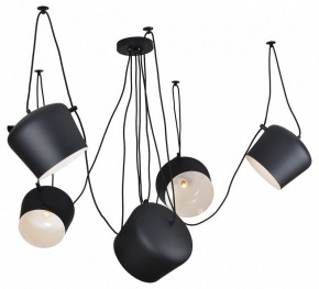 Подвесная люстра Lussole Shirley LSP-9919 в Можге - mozhga.mebel24.online | фото