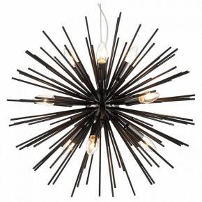Подвесная люстра Lussole Star LSP-8337 в Можге - mozhga.mebel24.online | фото 2