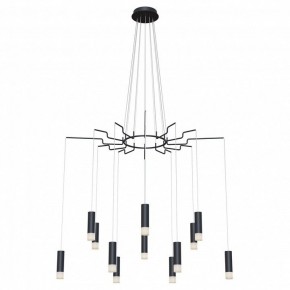 Подвесная люстра Maytoni Davida MOD035PL-12B в Можге - mozhga.mebel24.online | фото 2