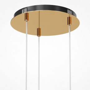 Подвесная люстра Maytoni Drop MOD273PL-L33G3K в Можге - mozhga.mebel24.online | фото 6
