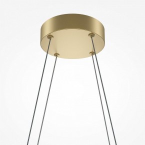 Подвесная люстра Maytoni Halo MOD244PL-L50BSK в Можге - mozhga.mebel24.online | фото 4