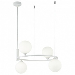 Подвесная люстра Maytoni Ring MOD013PL-04W в Можге - mozhga.mebel24.online | фото 2