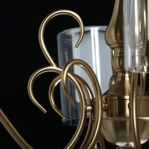 Подвесная люстра MW-Light Эллегия 8 303012708 в Можге - mozhga.mebel24.online | фото 7