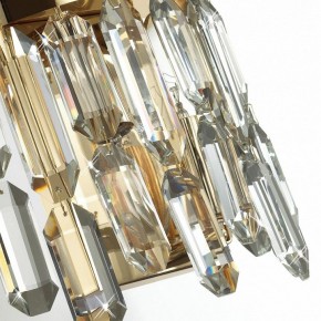 Подвесная люстра Odeon Light Dakisa 4986/12 в Можге - mozhga.mebel24.online | фото 8