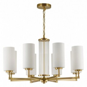 Подвесная люстра Odeon Light Kasali 4990/8 в Можге - mozhga.mebel24.online | фото 2