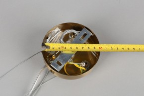 Подвесная люстра Omnilux Ales OML-69103-06 в Можге - mozhga.mebel24.online | фото 11